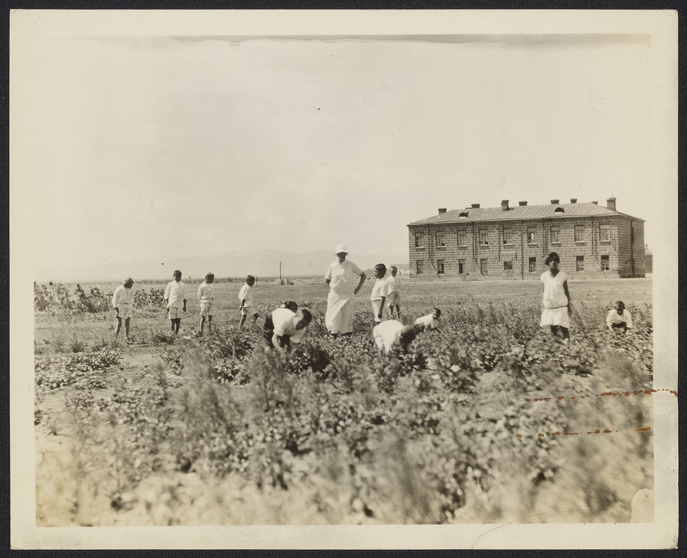Children and woman in Alexandropol field