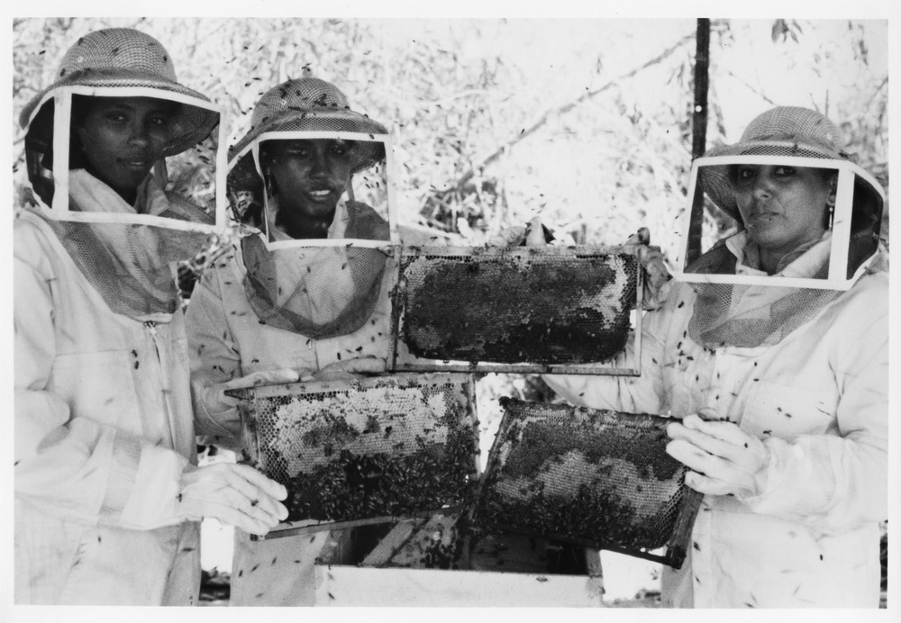 Sudanese women beekeepers display honey in frames at the Shambat Apiary, c. 1985. NEF worked with Sudanese agricultural scientists to increase honey production for household use and as an income-generating activity.