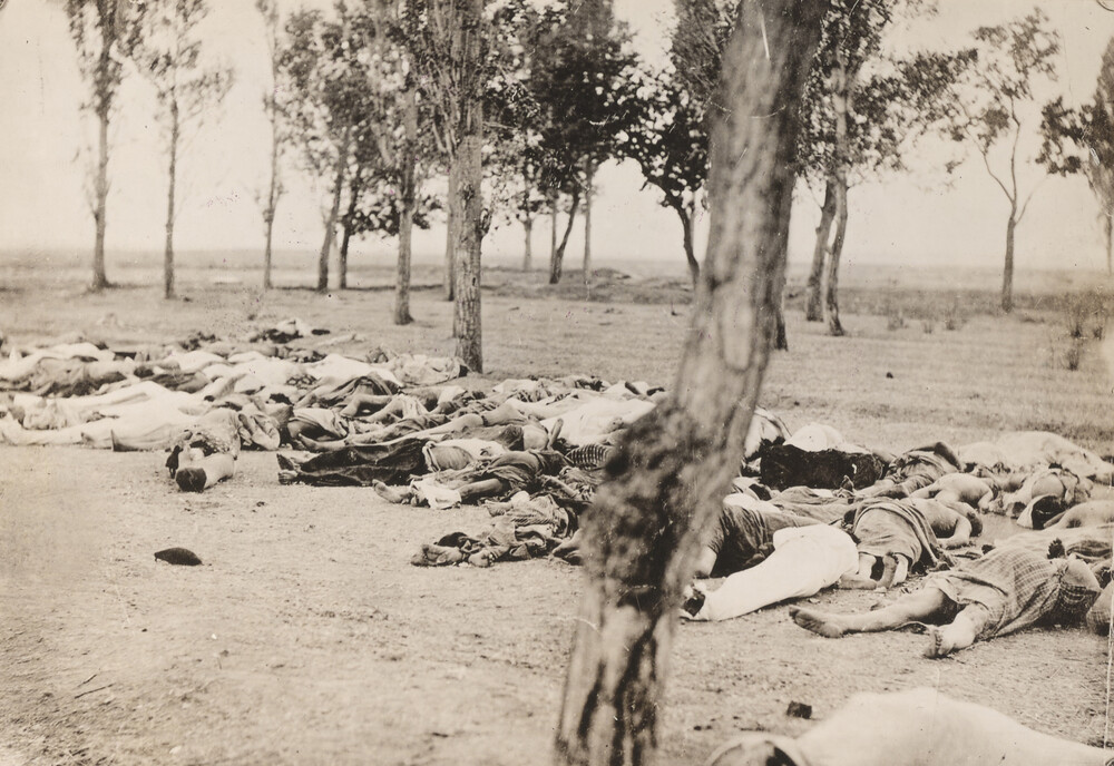 View of a section of corpses, fallen victims of starvation.