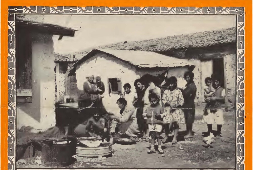 Page from New Life in Old Lands, a Near East Foundation brochure published c. 1931. The booklet introduced NEF's post-relief development programs.