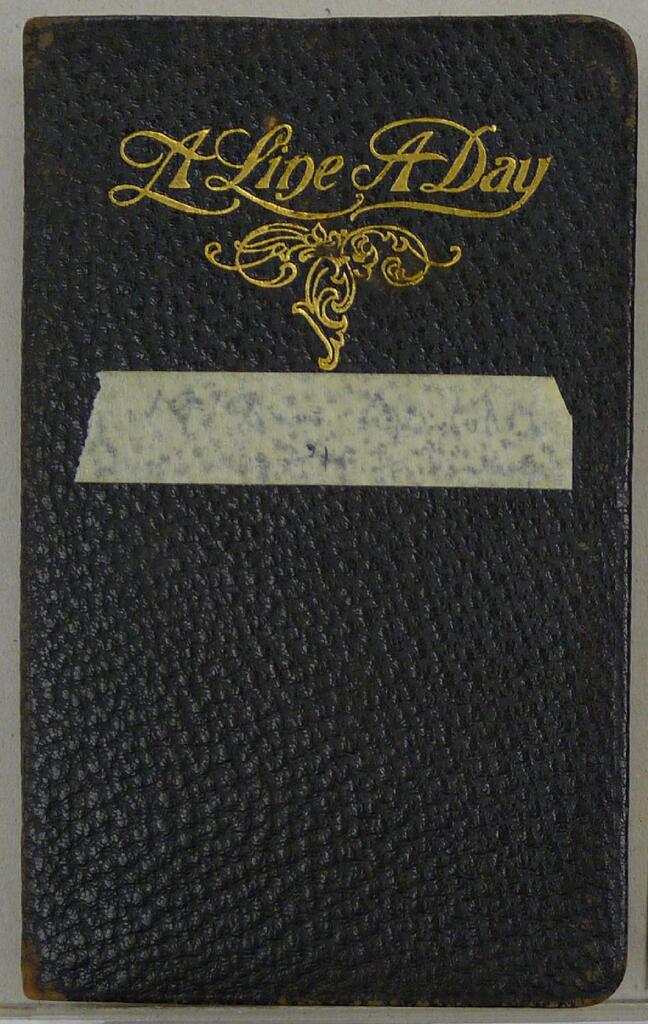 Diary of Dr. Ruth A. Parmelee, 1913–1916