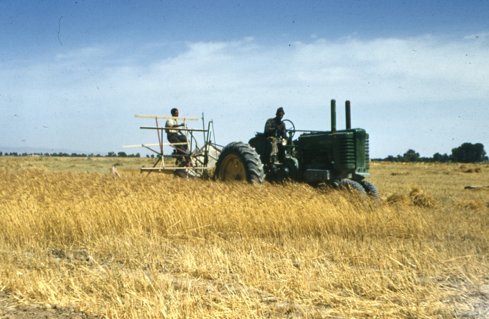 NEF programs introduced modern farming practices and machinery, such as this tractor. Local partners were taught how to use the equipment to increase productivity. They also learned to maintain it. Photo date and location unknown.