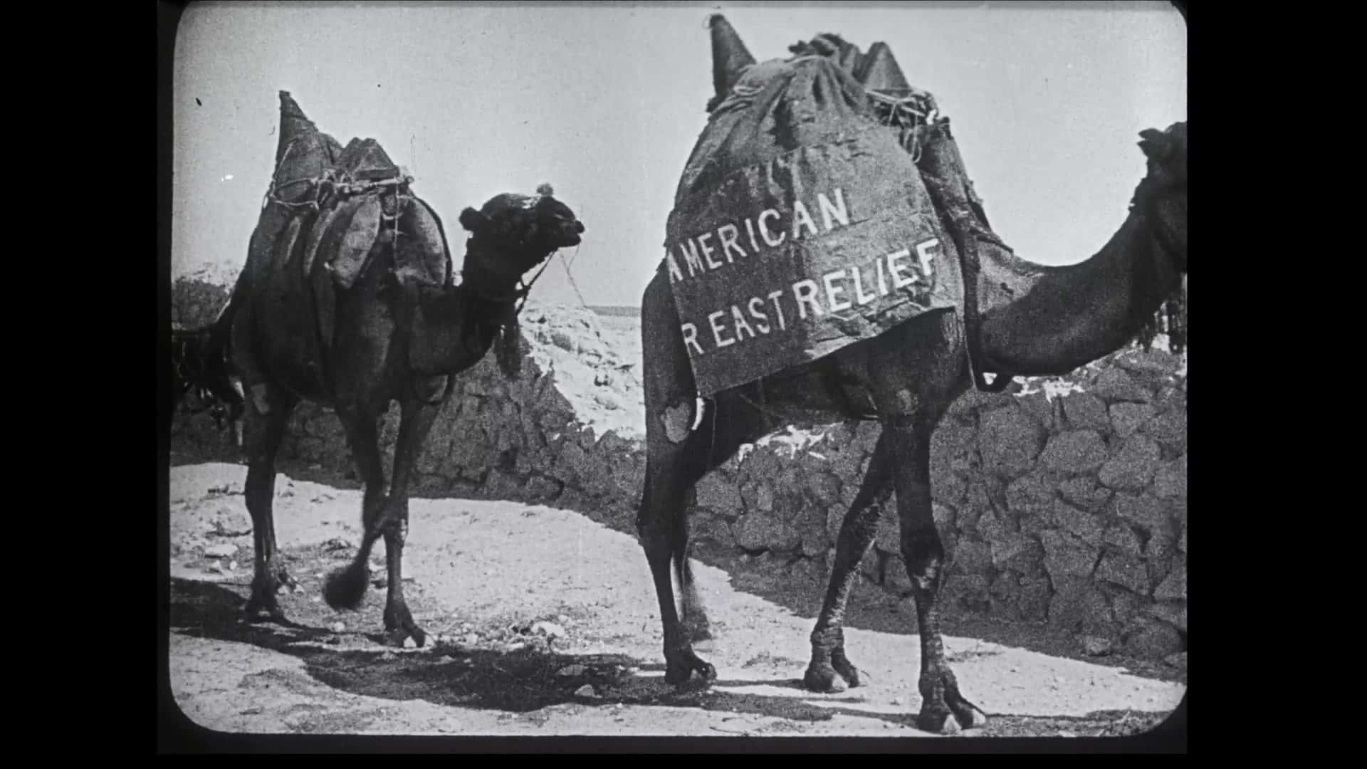 Camels whose loads are marked American Near East Relief, from Armeniernot und Christenhilfe (1930)